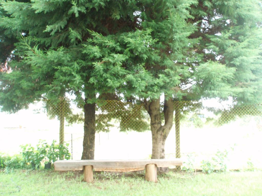 Hill View Bungalow Bed & Breakfast Nuwara Eliya Luaran gambar