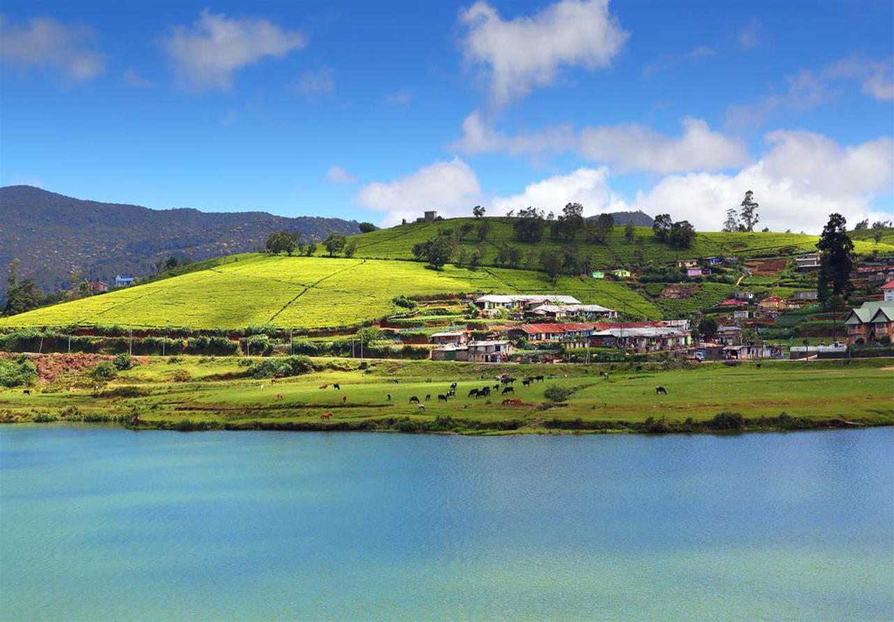 Hill View Bungalow Bed & Breakfast Nuwara Eliya Luaran gambar